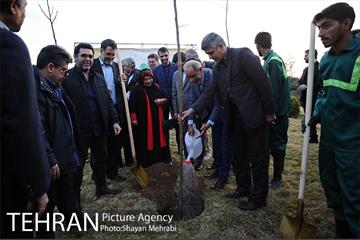 کاشت شش نهال درخت زیتون با حضور کارگرداران سینمای ایران 12