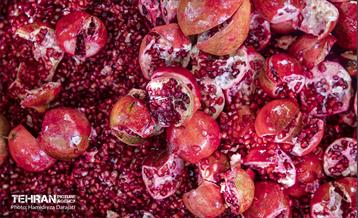 یـاقوت سرخ  19