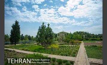 باغ گیاه‌شناسی ملی ایران 7