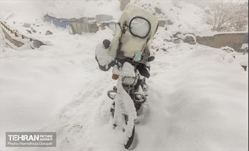 روایت مه‌و‌برف در بوستان سنگی تهران  35