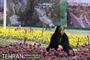 جشنواره لاله‌ها در بوستان زندگی محله هرندی 11