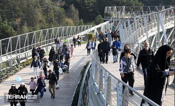 همایش‌ پیاده‌روی خانوادگی کارکنان شهرداری تهران 27