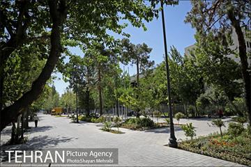 گذر پیاده راه استاد شهریار 17