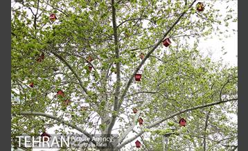 اکران هنرهای محیطی نوروزی در بلوارکشاورز 14