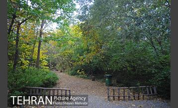 باغ گیاه‌شناسی ملی ایران 11