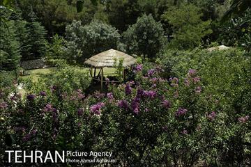باغ پرندگان تهران 28