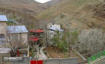 هوای بهاری منطقه 22 17