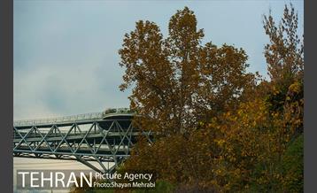 پاییز پل طبیعت 5