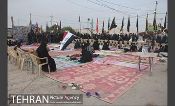 زائران اربعین حسینی 1 13