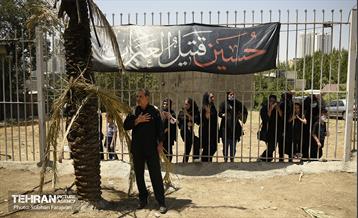 ظهر عاشورا در ده‌ ونک 31