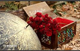 یلدا در قاب کیانشهر 37