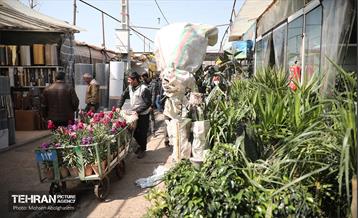 بازار گل شهید محلاتی در آخرین روزهاى سال 2