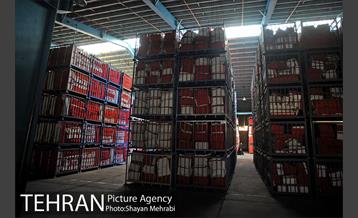 بازدید احمد مسجد جامعی از مراکز مرتبط با زلزله تهران 31