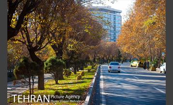 پاییز بلوار کشاورز 17