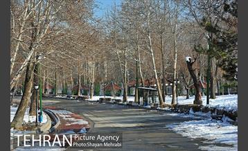 فصل زمستان در بوستان ملت 40