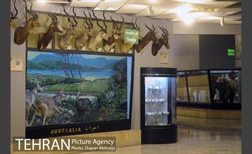 موزه حیات وحش پردیسان 37