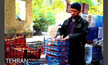 گذری در کوچه پس کوچه های محله کن‎ 21