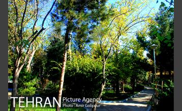 شهرک صدرا 27