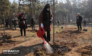 آیین یلدای مهربانی و کاشت نهال در بوستان سرخه حصار 31