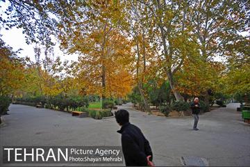 پاییز در پارک های تهران 8