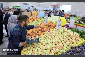 افتتاح بازار میوه و تره‌بار میخک و مروارید 11