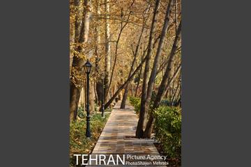 پاییز باغ ایرانی 17