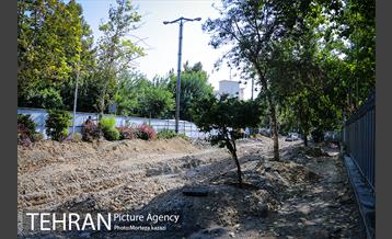 مراحل آماده سازی گذر پیاده راه استاد شهریار 2