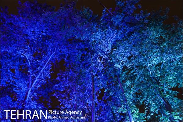 نورپردازی درختان بلوار میرداماد 19