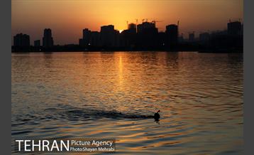 رزم نمایش عملیات والفجر ۸ 17