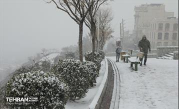 بارش برف زمستانی در منطقه ۲ 8