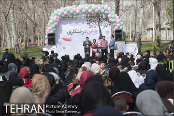درختکاری و لانه گذاری کبوتر در بوستان بعثت 12