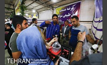 جشنواره شاتوت و محصولات محلی دهستان سولقان 2