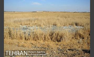 بوی نامطبوع در مسیر فرودگاه امام خمینی(ره) 44