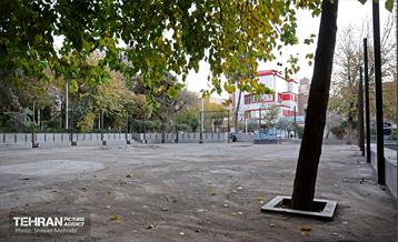 بازدید کمیسیون برنامه و بودجه شورای شهر از پروژه‌های منطقه 11 50