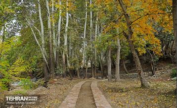 ­اکوپارک رود دره فرحزاد 66