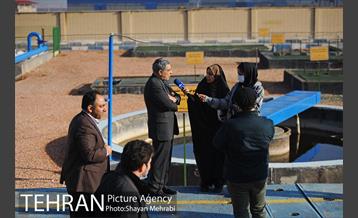 بوی نامطبوع در مسیر فرودگاه امام خمینی(ره) 23