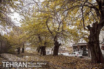 پاییز زیبای منطقه کن 1