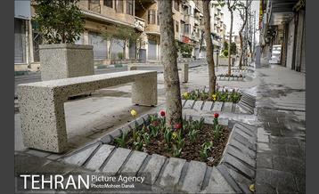 باز پیرایی خیابان 50 ساله 24