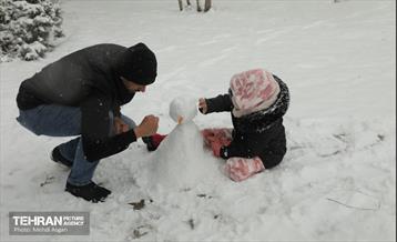 بارش برف زمستانی در منطقه ۲ 12