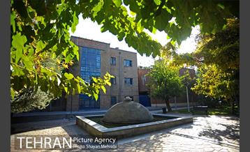 بوستان هنرمندان (ایرانشهر) 17