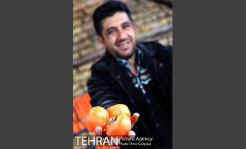 نخستین جشنواره خرمالو در روستای کشار سفلی 5