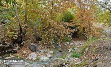 ­اکوپارک رود دره فرحزاد 38