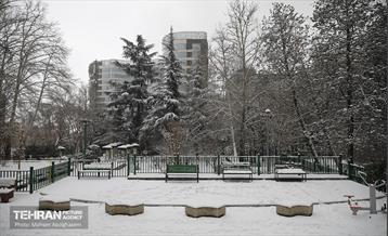 روز برفی تهران - 2 52