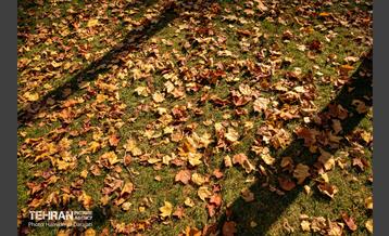 آخرین روزهای پاییزی  9