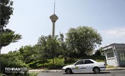 رالی خانوادگی خبرنگاران 4