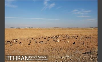 بررسی بوی نامطبوع در مسیر فرودگاه امام خمینی(ره) -2 19