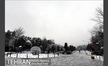 روز برفی بلوار کشاورز 23