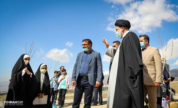 نهال کاری شهردار تهران و رئیس جمهور به مناسبت روز درختکاری 17