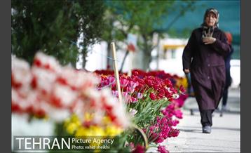 پیاده راه لاله برای مادران 12