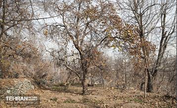 اینجا کارگاهه؛ اکو پارک فرحزاد 15